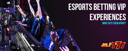 Esports Betting VIP Experiences: What Sets Them Apart?